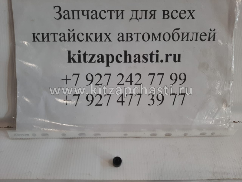 ЗАГЛУШКА ПОРОГА Chery Fora, Vortex Estina S11-5110031